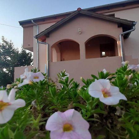 גורני קרין Apartments Cherry מראה חיצוני תמונה